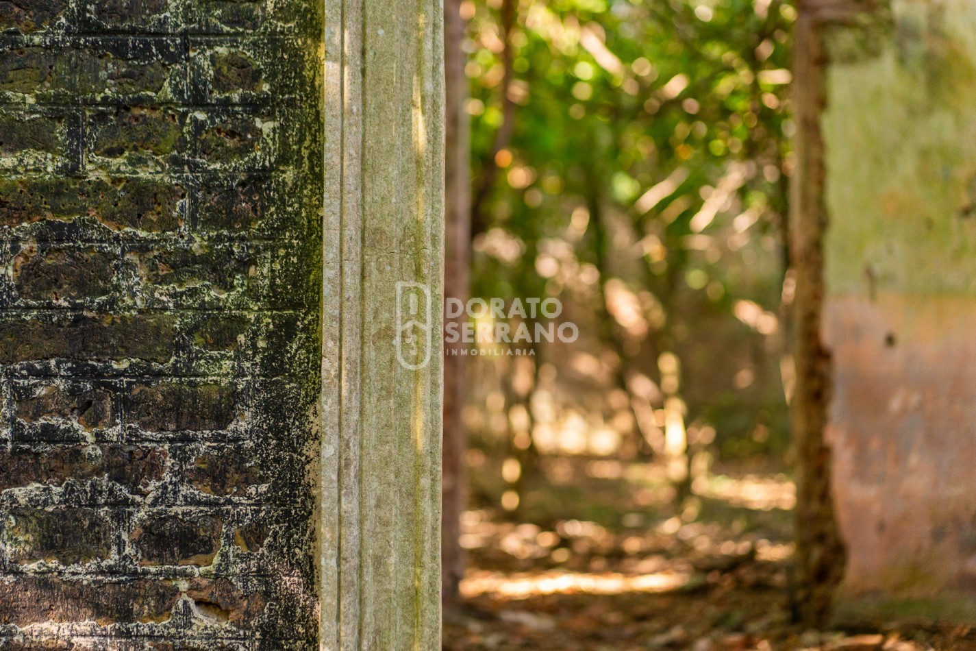 CAMPO AGRICOLA + ANTIGUA ESTACION OROÑO- GESSLER!