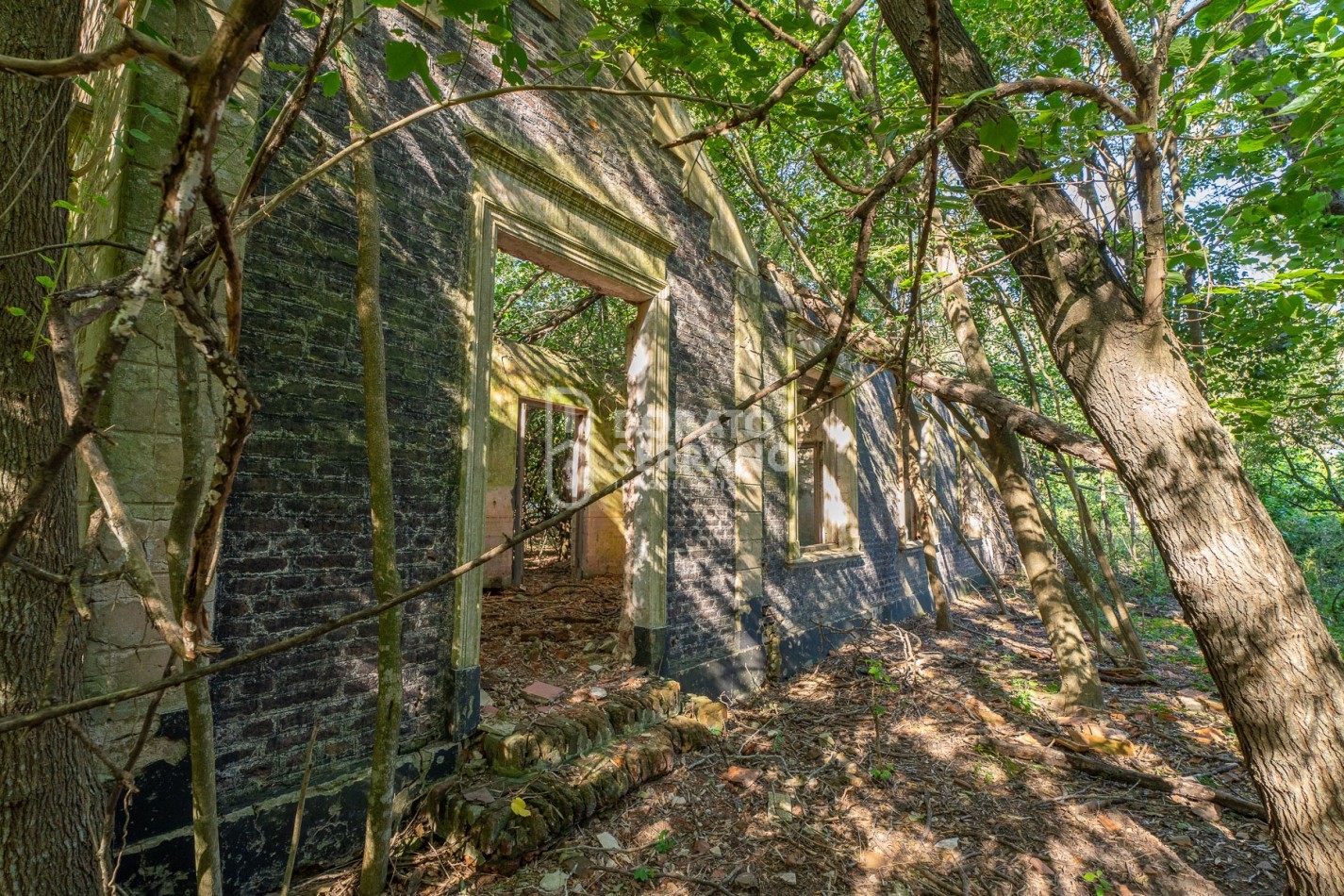 CAMPO AGRICOLA + ANTIGUA ESTACION OROÑO- GESSLER!