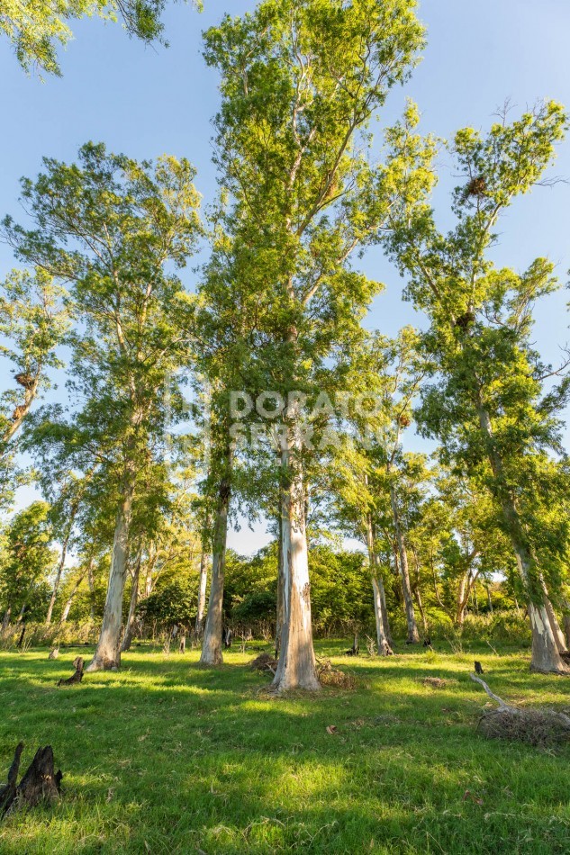 CAMPO AGRICOLA + ANTIGUA ESTACION OROÑO- GESSLER!