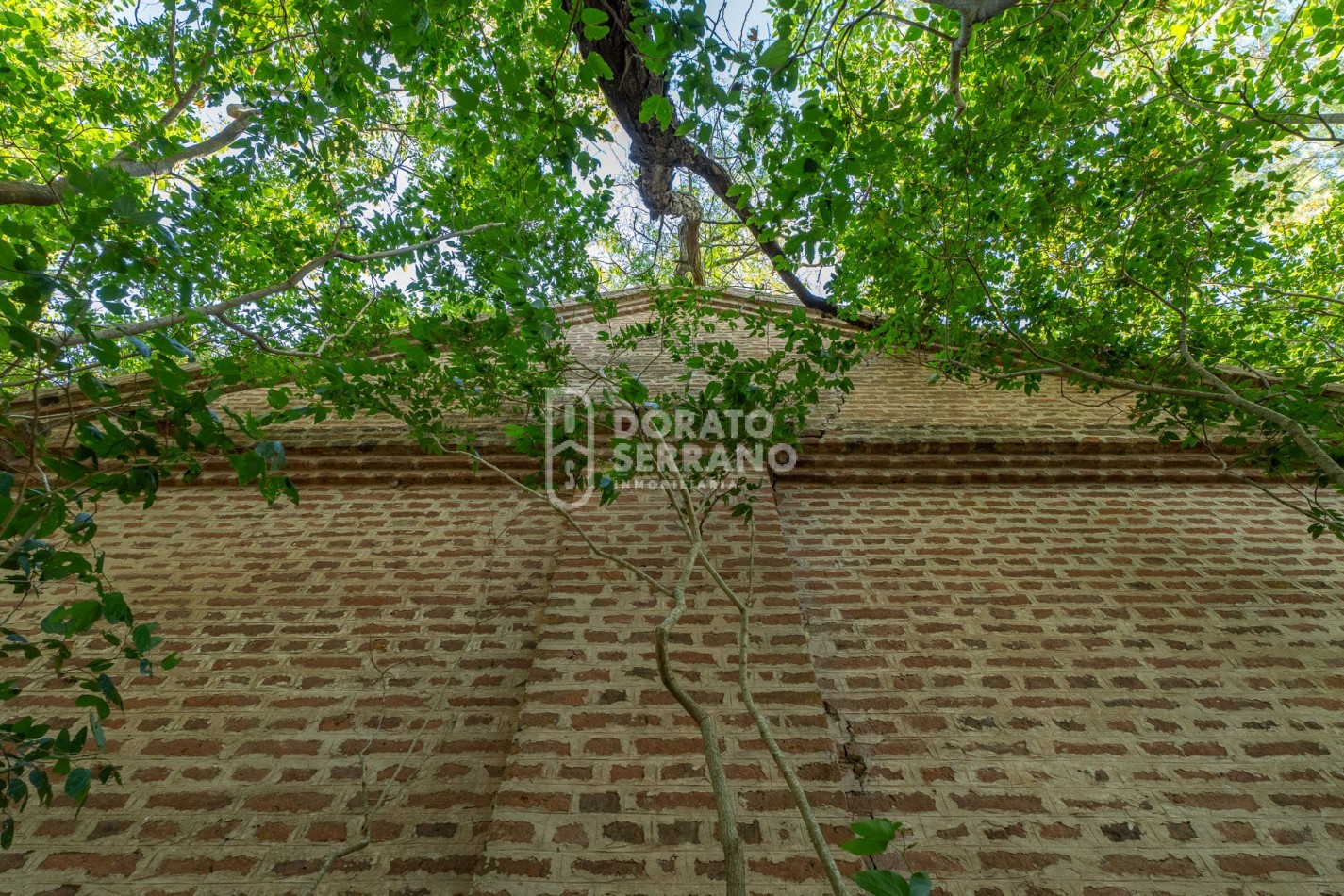 CAMPO AGRICOLA + ANTIGUA ESTACION OROÑO- GESSLER!