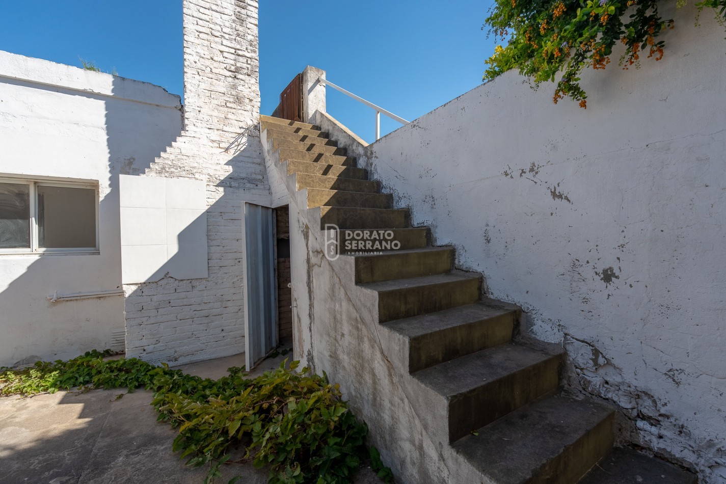 VERSATIL! EL FUTURO LO DECIDIS VOS!