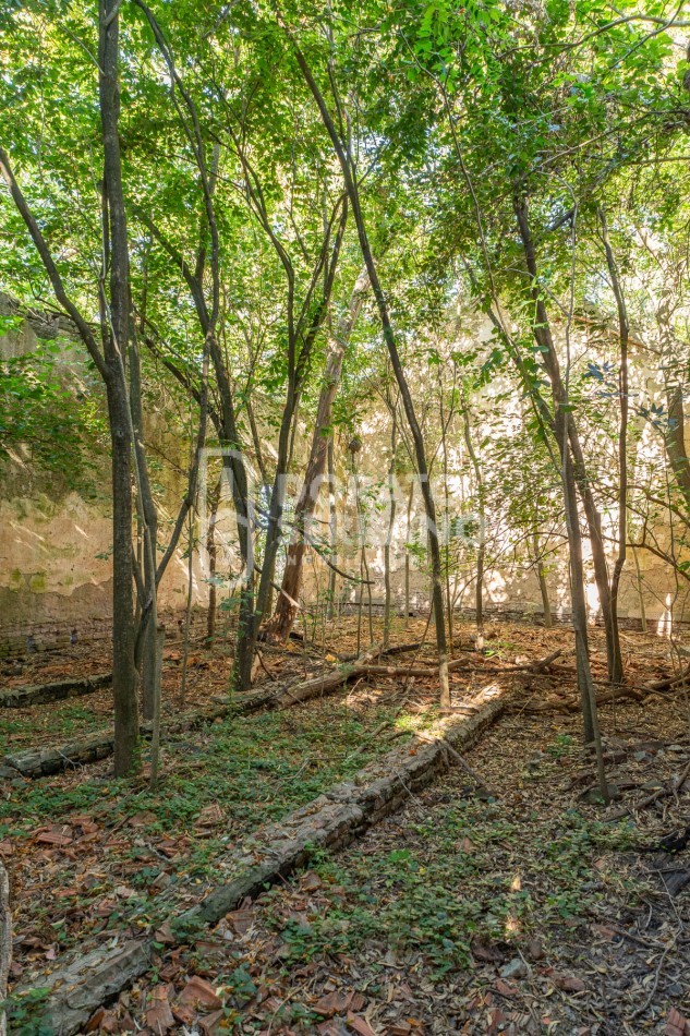 CAMPO AGRICOLA + ANTIGUA ESTACION OROÑO- GESSLER!