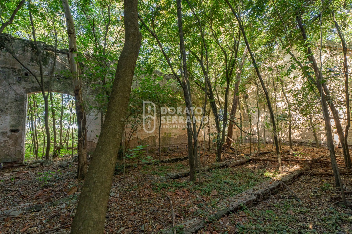 CAMPO AGRICOLA + ANTIGUA ESTACION OROÑO- GESSLER!