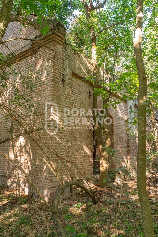 CAMPO AGRICOLA + ANTIGUA ESTACION OROÑO- GESSLER!