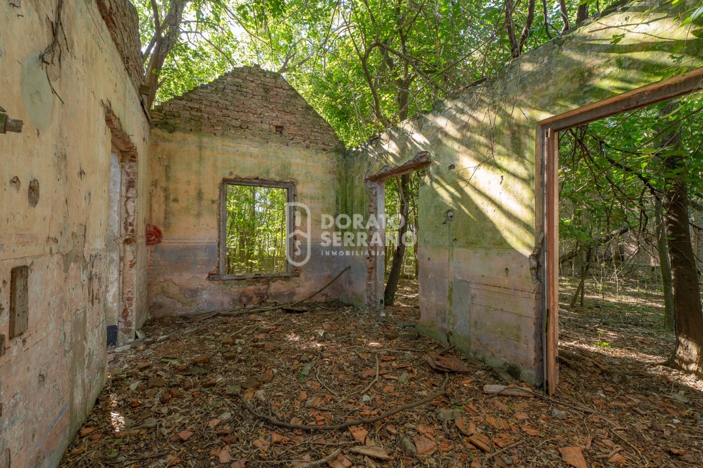 CAMPO AGRICOLA + ANTIGUA ESTACION OROÑO- GESSLER!