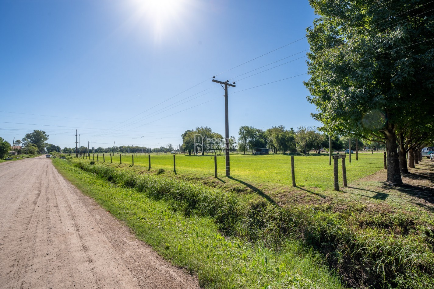 LOTE  ESTRATEGICO / MILLS Y B. SUR MER /   