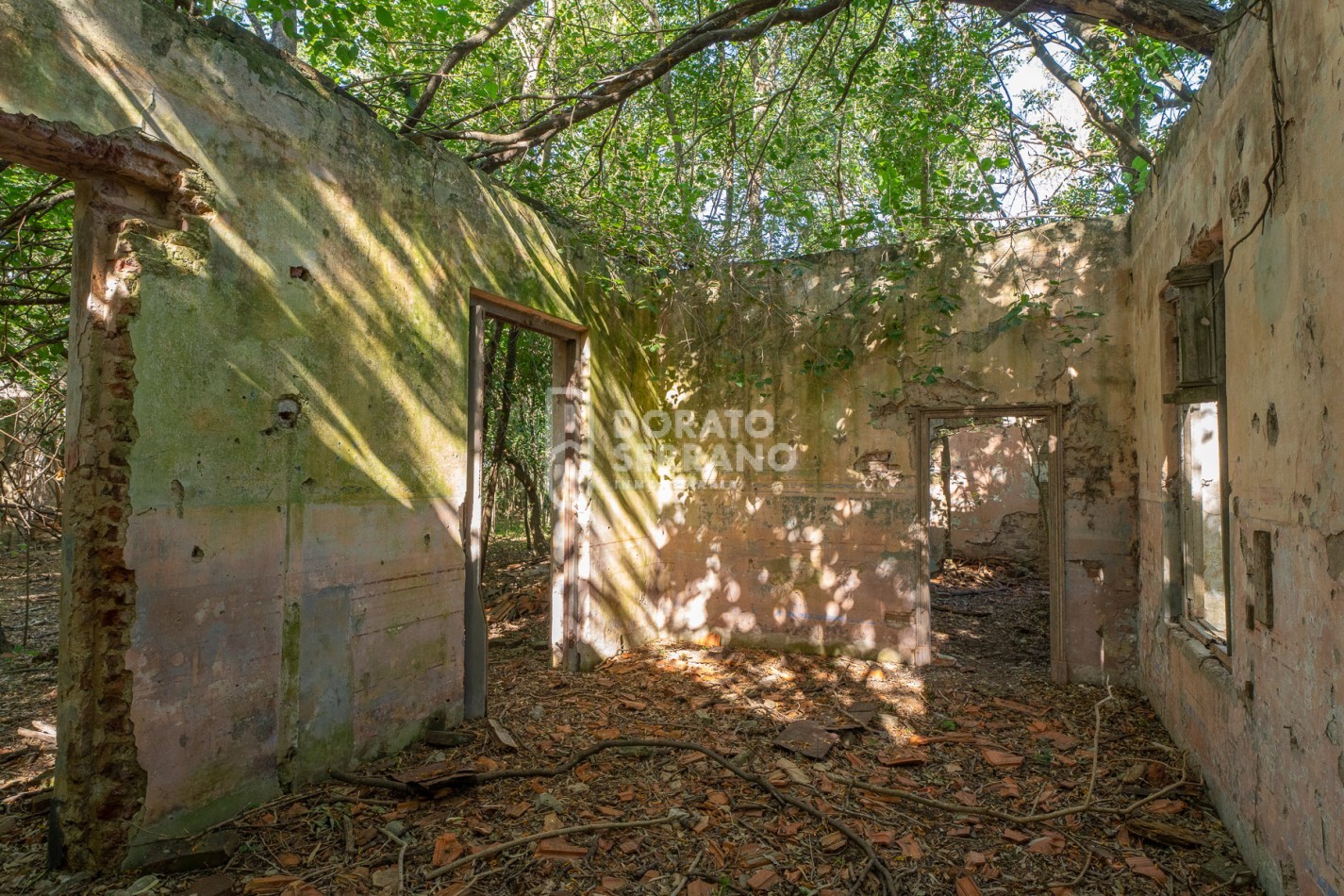 CAMPO AGRICOLA + ANTIGUA ESTACION OROÑO- GESSLER!