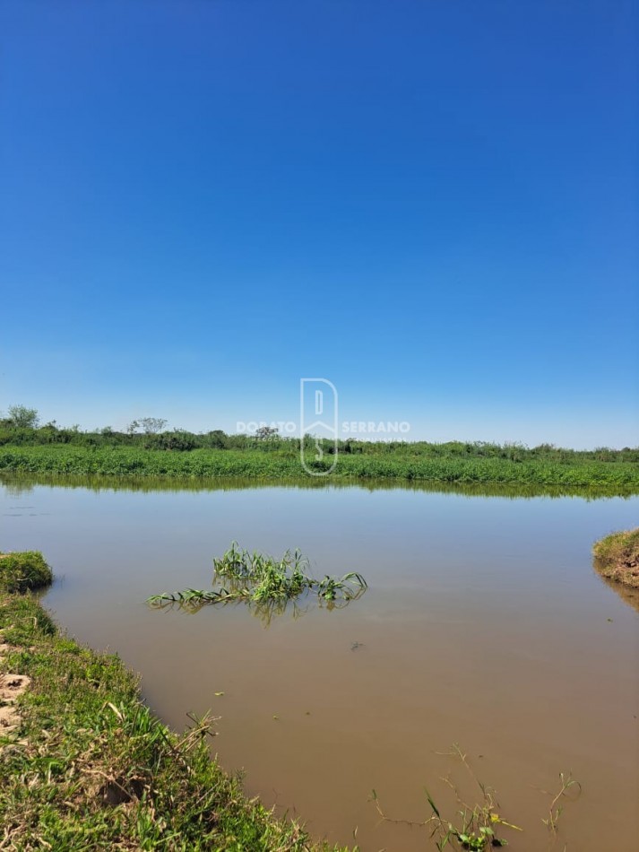 GUARDERIA NAUTICA! GRAN RENTABILIDAD + GRANDES LOTES + BUENAS INSTALACIONES! 