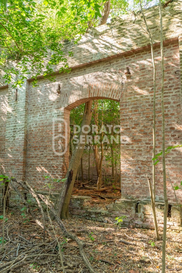 CAMPO AGRICOLA + ANTIGUA ESTACION OROÑO- GESSLER!