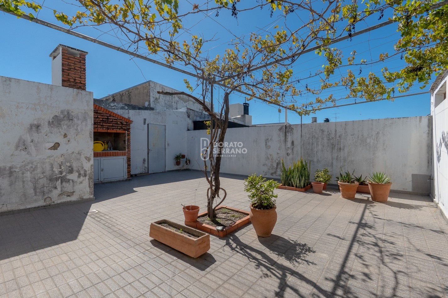 CASA + LOCAL SOBRE AVENIDA! 14 MTS. DE FRENTE!