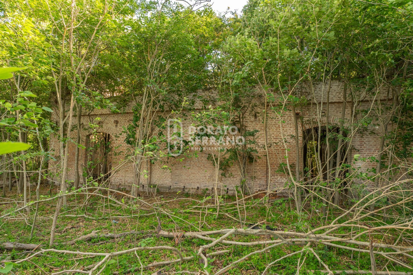 CAMPO AGRICOLA + ANTIGUA ESTACION OROÑO- GESSLER!