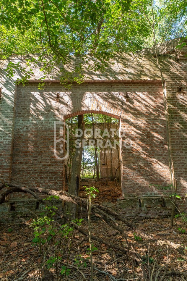 CAMPO AGRICOLA + ANTIGUA ESTACION OROÑO- GESSLER!