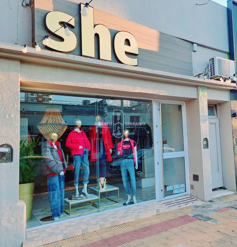 LOCAL FRENTISTA + LOTE Y CONSTRUCCION INTERNOS / AREA CENTRAL.  