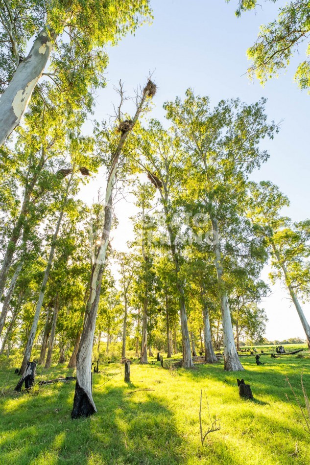 CAMPO AGRICOLA + ANTIGUA ESTACION OROÑO- GESSLER!