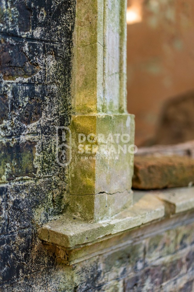 CAMPO AGRICOLA + ANTIGUA ESTACION OROÑO- GESSLER!