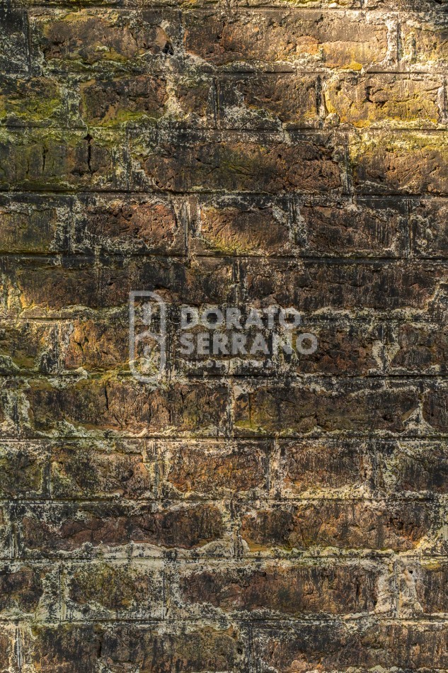 CAMPO AGRICOLA + ANTIGUA ESTACION OROÑO- GESSLER!