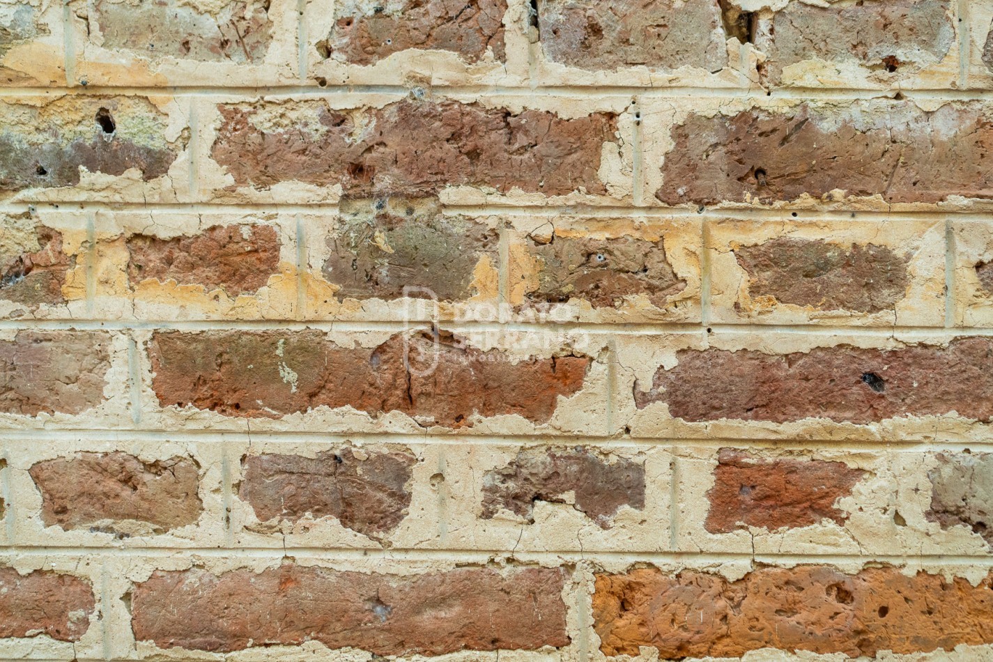 CAMPO AGRICOLA + ANTIGUA ESTACION OROÑO- GESSLER!