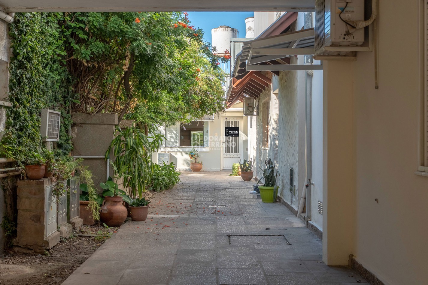 EL TESORO DE DORREGO - IMPERDIBLE / IMPECABLE! 