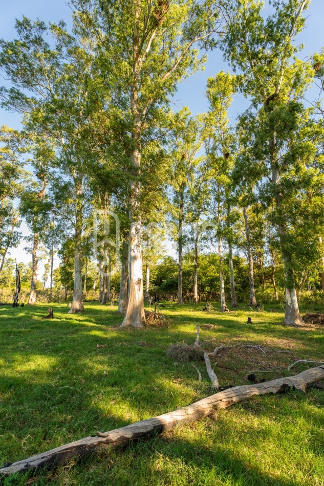 CAMPO AGRICOLA + ANTIGUA ESTACION OROÑO- GESSLER!
