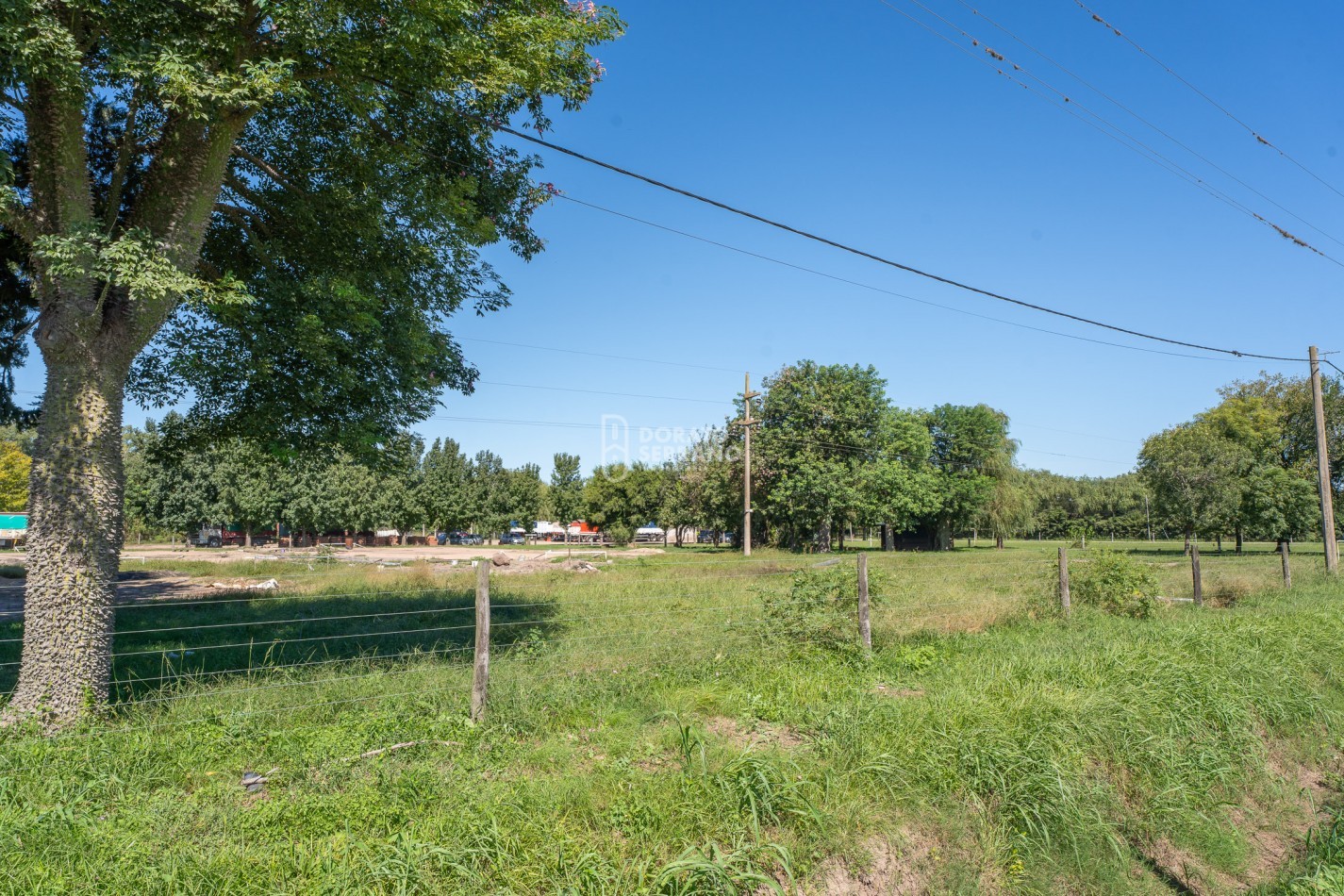 LOTE  ESTRATEGICO / MILLS Y B. SUR MER /   