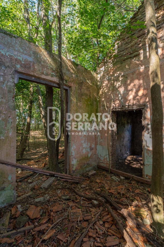 CAMPO AGRICOLA + ANTIGUA ESTACION OROÑO- GESSLER!