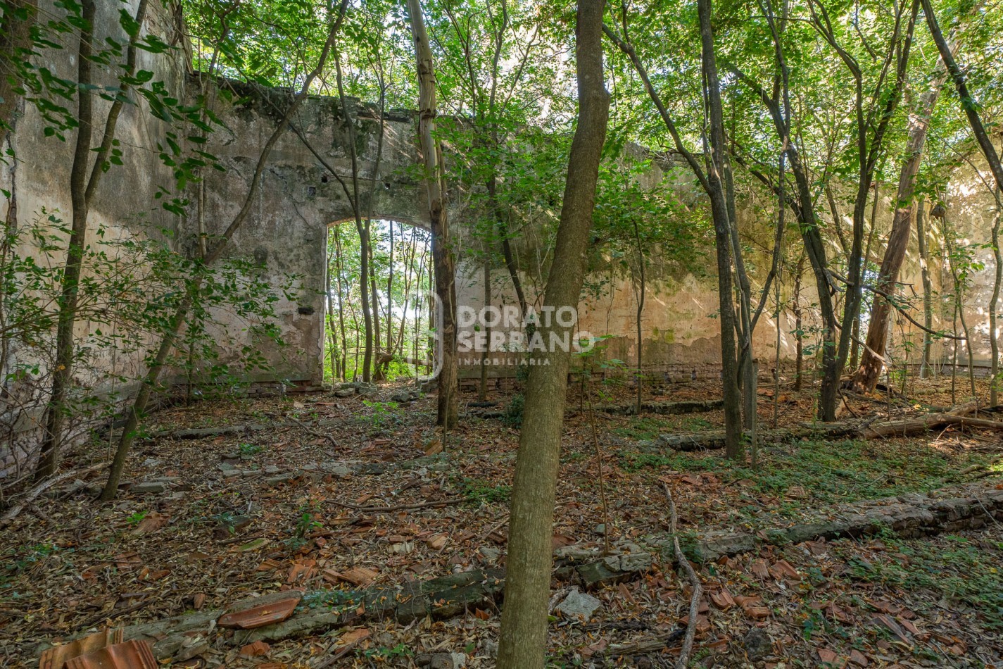 CAMPO AGRICOLA + ANTIGUA ESTACION OROÑO- GESSLER!