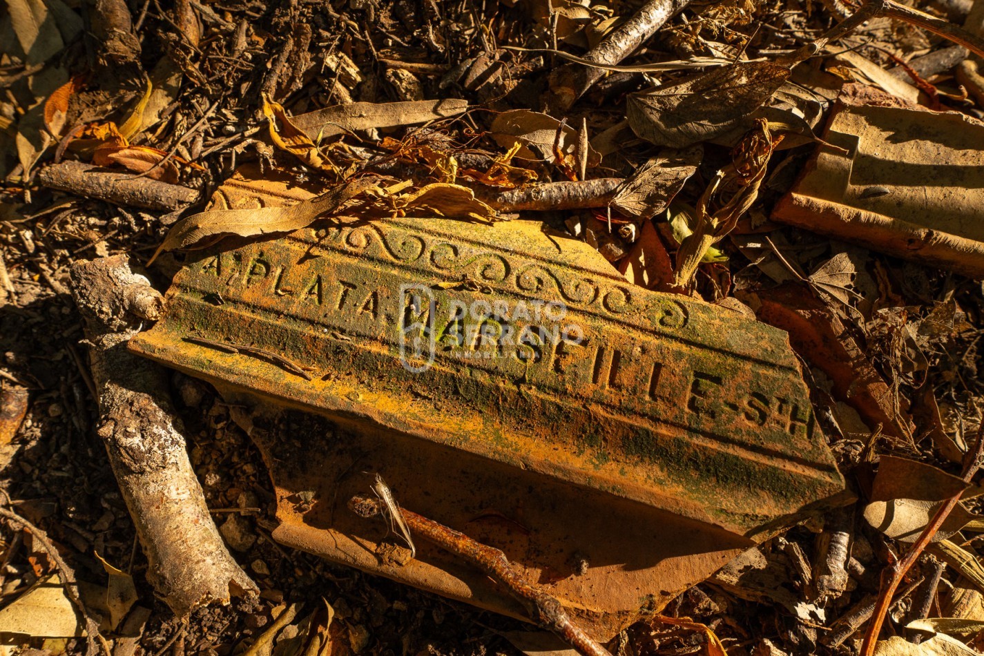 CAMPO AGRICOLA + ANTIGUA ESTACION OROÑO- GESSLER!