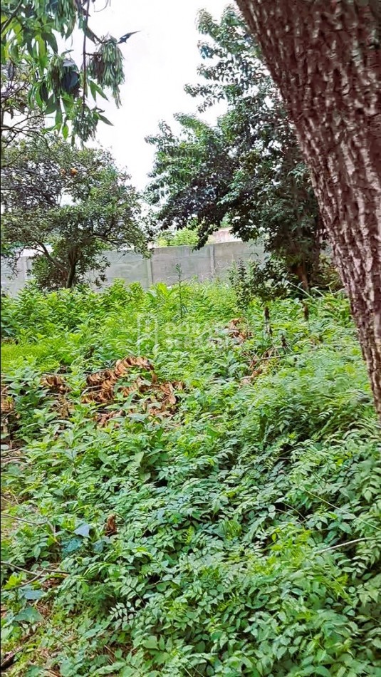 GRAN SUPERFICIE - TODOS LOS SERVICIOS.