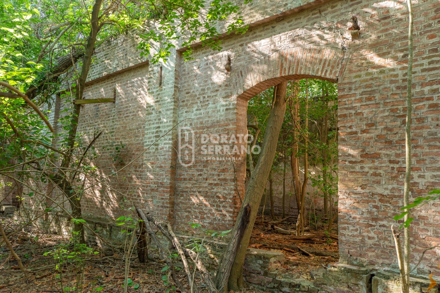 CAMPO AGRICOLA + ANTIGUA ESTACION OROÑO- GESSLER!