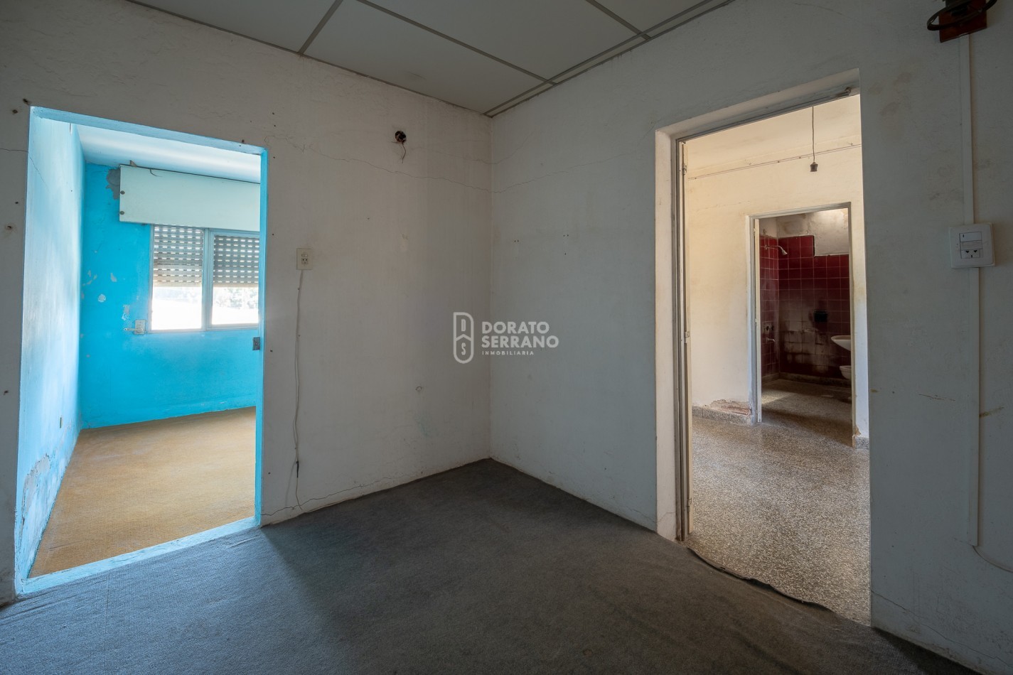 CASA CON LOCAL - PROYECTAR SIN LIMITES! AREA CENTRAL! 