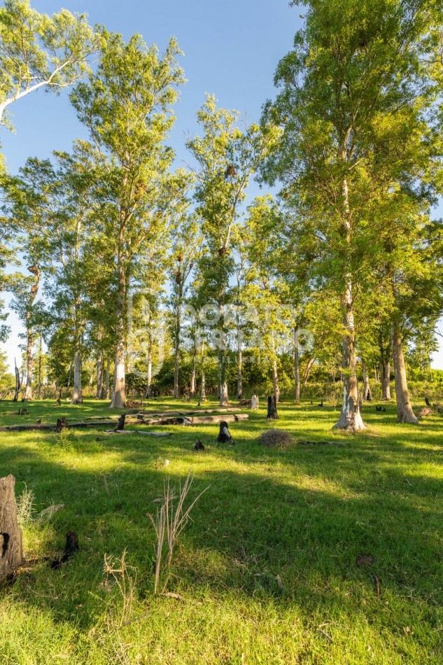 CAMPO AGRICOLA + ANTIGUA ESTACION OROÑO- GESSLER!