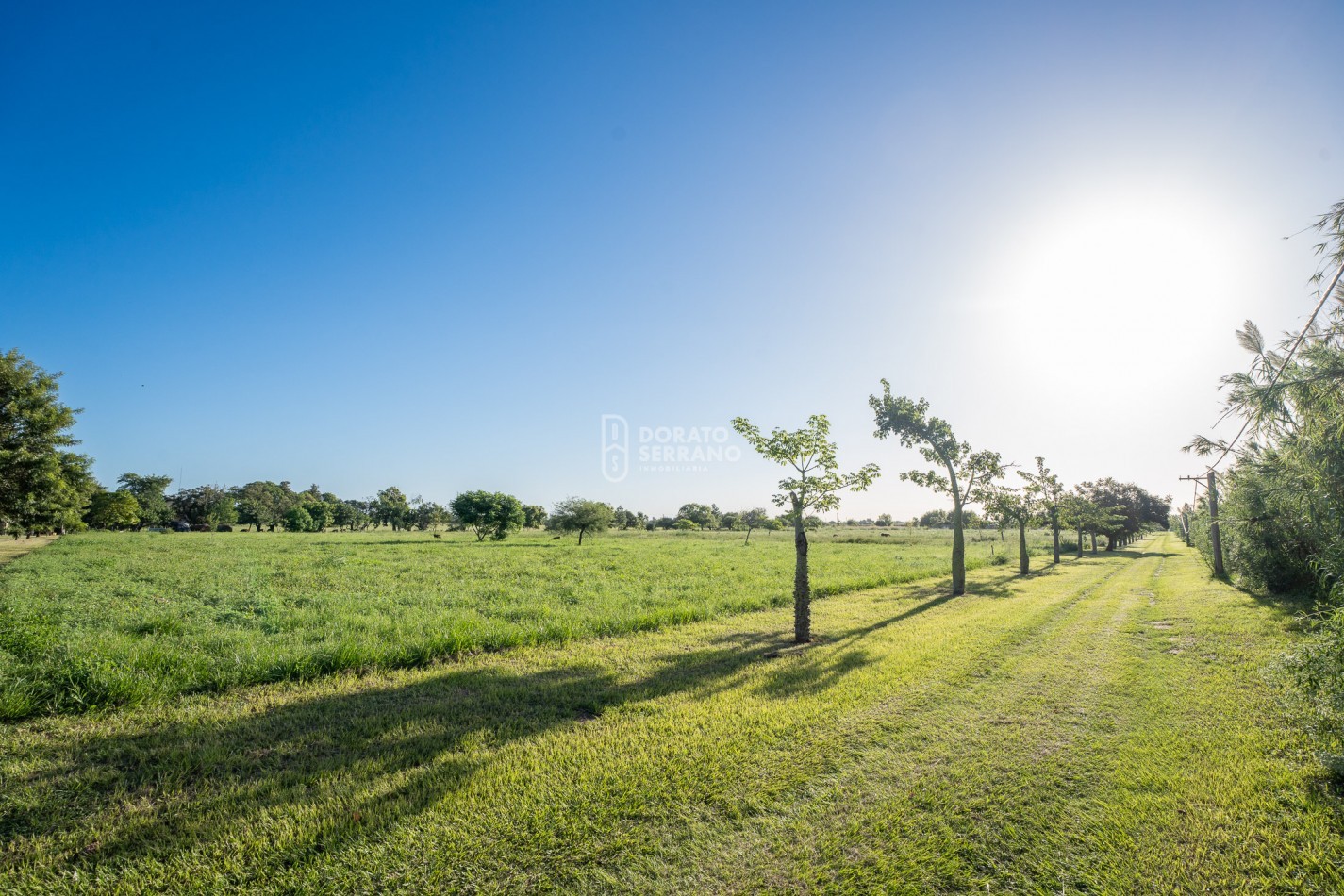 •	FINCA PREMIUM / DESVIO ARIJON / DE PELICULA! / 