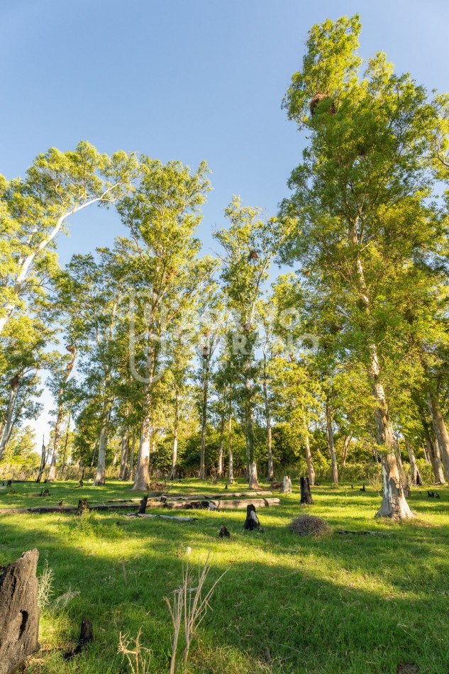 CAMPO AGRICOLA + ANTIGUA ESTACION OROÑO- GESSLER!