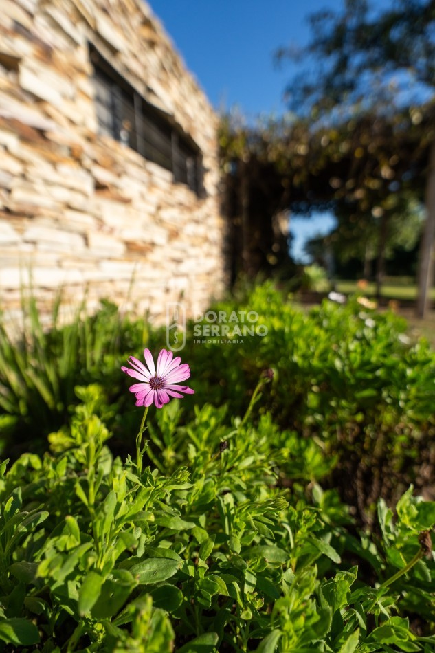 •	FINCA PREMIUM / DESVIO ARIJON / DE PELICULA! / 