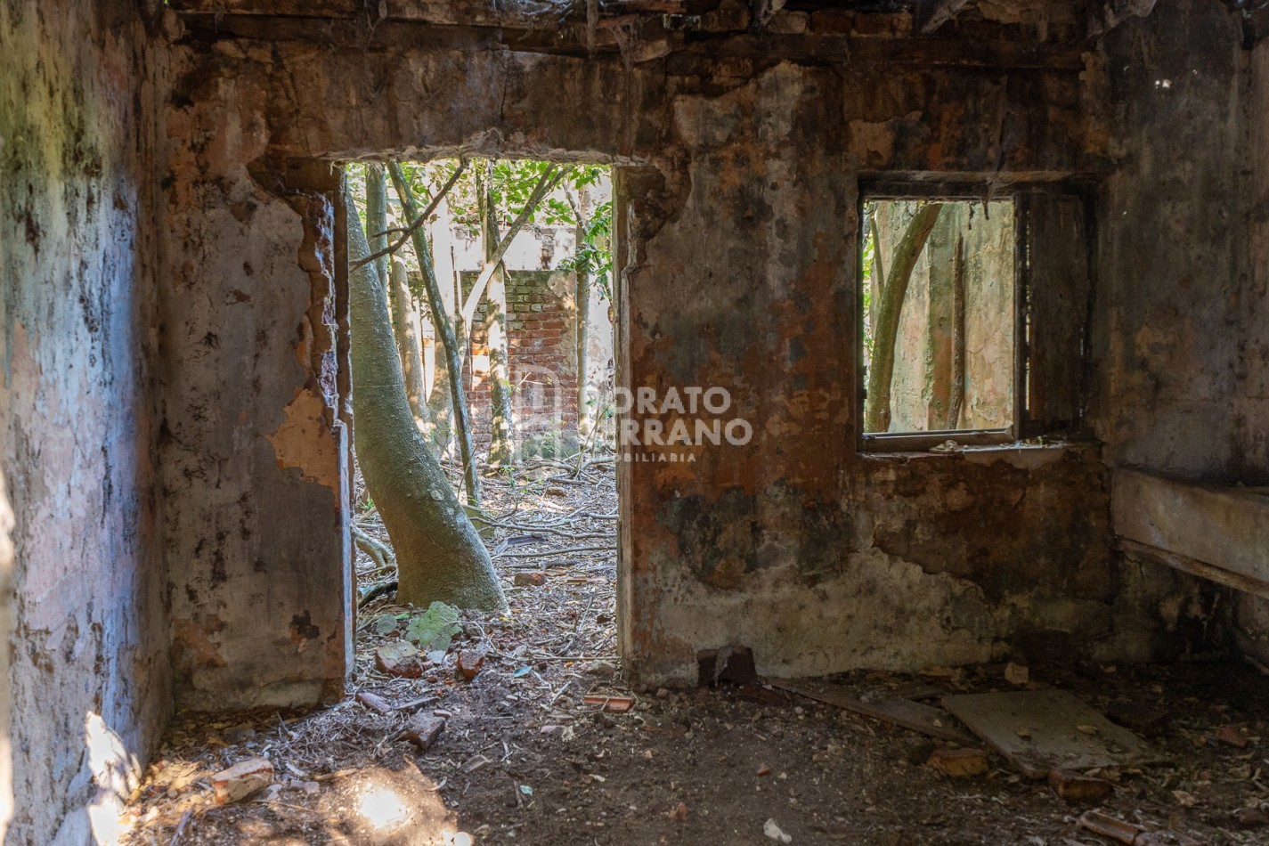 CAMPO AGRICOLA + ANTIGUA ESTACION OROÑO- GESSLER!