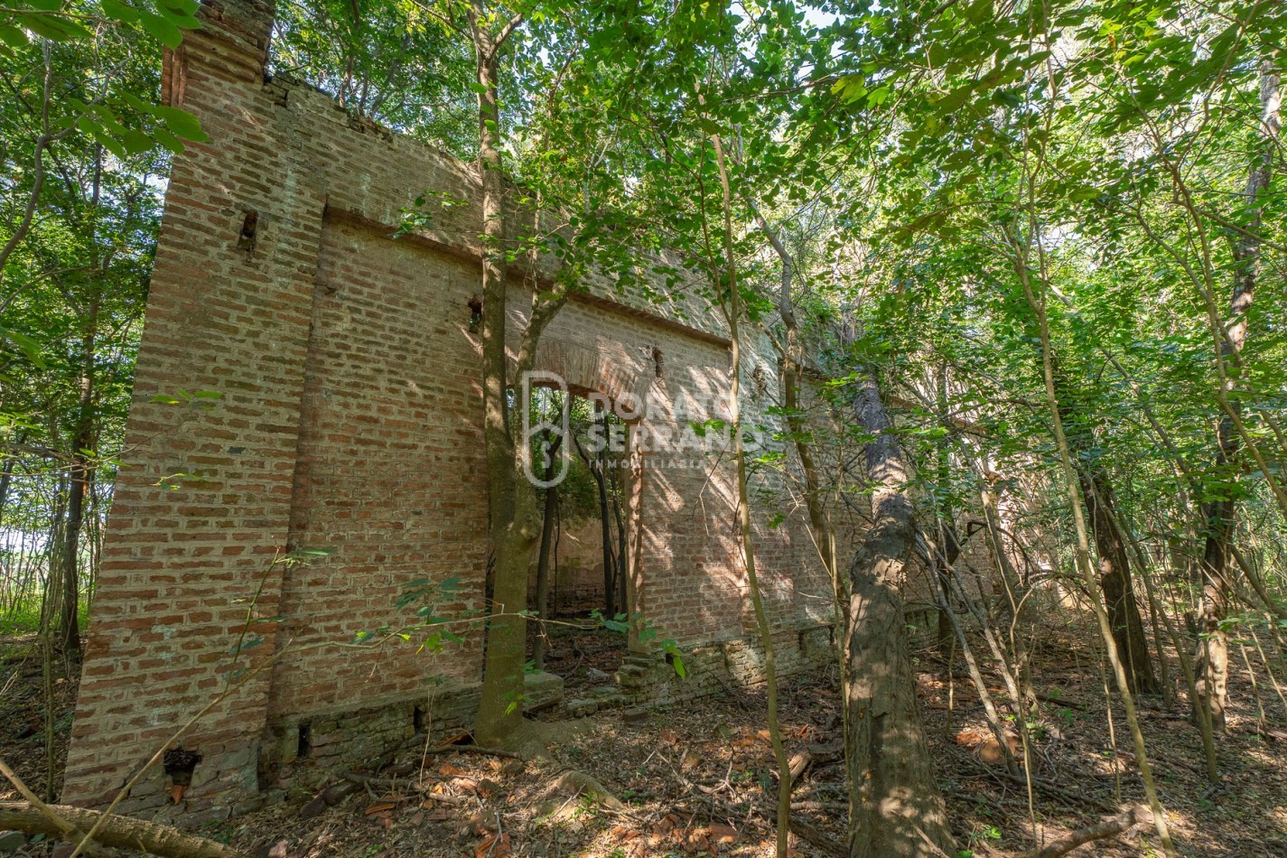 CAMPO AGRICOLA + ANTIGUA ESTACION OROÑO- GESSLER!