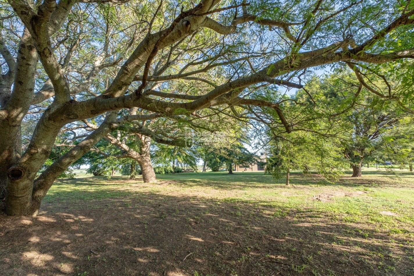 •	FINCA PREMIUM / DESVIO ARIJON / DE PELICULA! / 