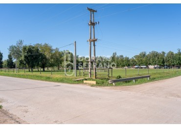 LOTE  ESTRATEGICO / MILLS Y B. SUR MER /   